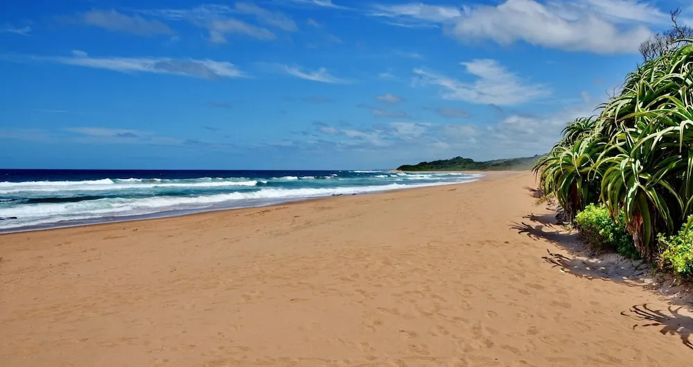 Отель ANEW Hotel Ocean Reef Zinkwazi