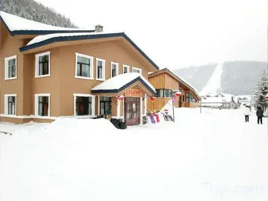 Lao Dongbei Inn (Xuexiang National Forest Park Store)
