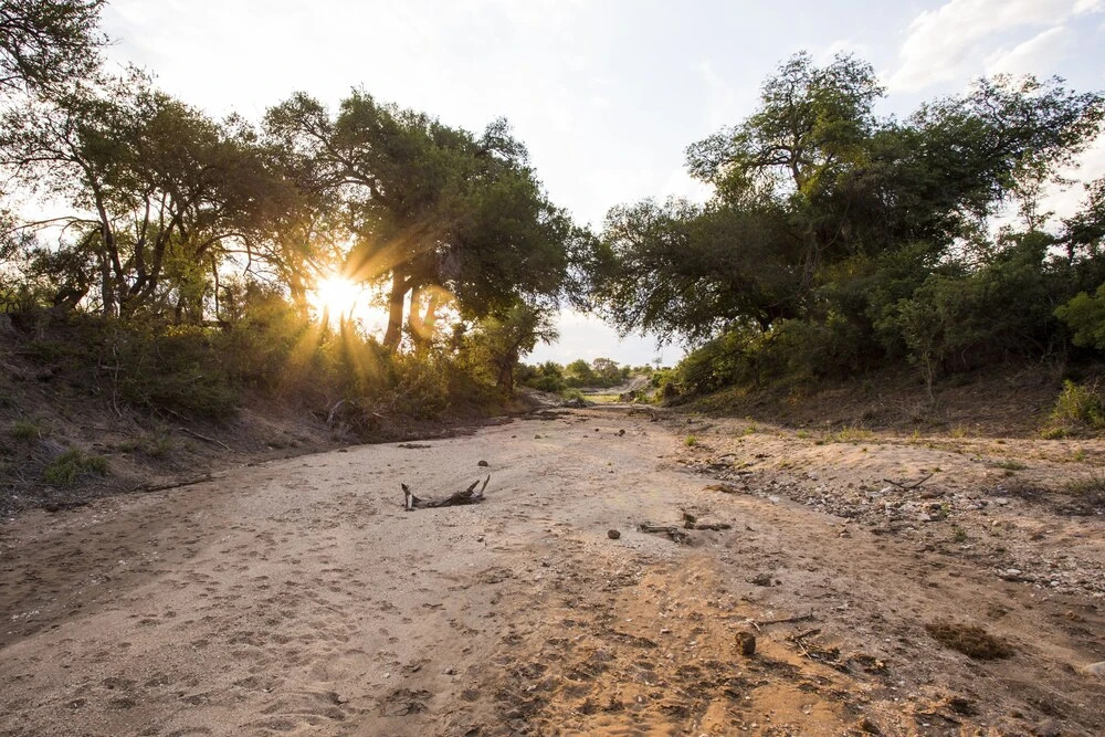 Amani Safari Camp