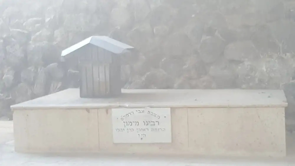 אחוזת כינורות