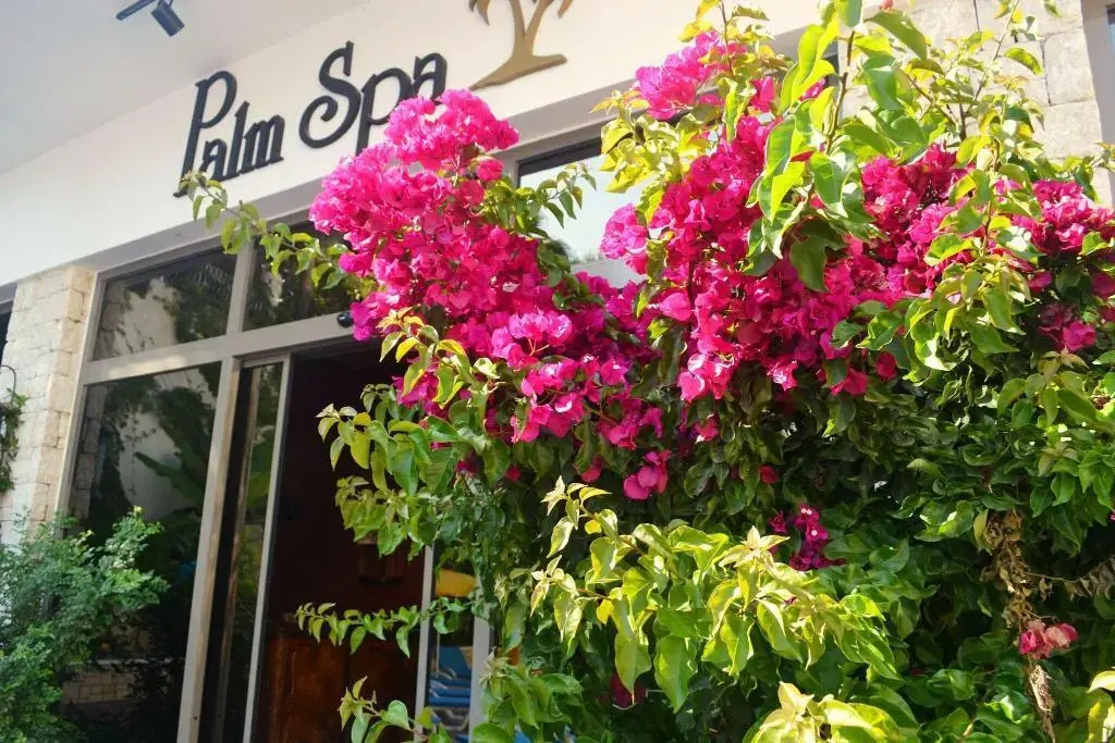 Flamingo Hotel & Spa - Pet Friendly