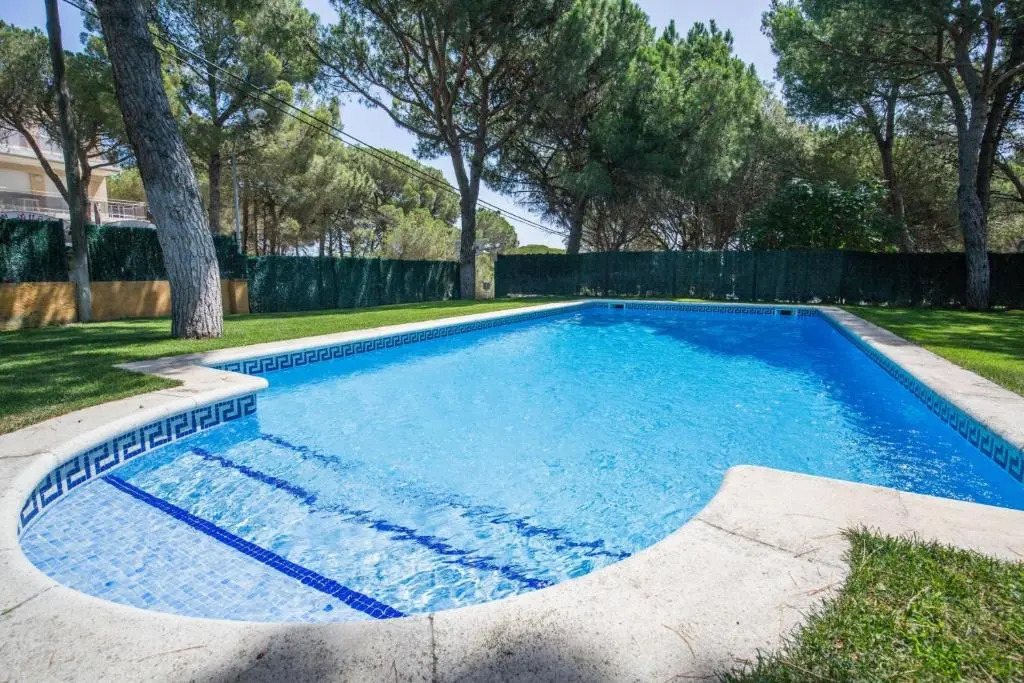 Calsina Bax 2h