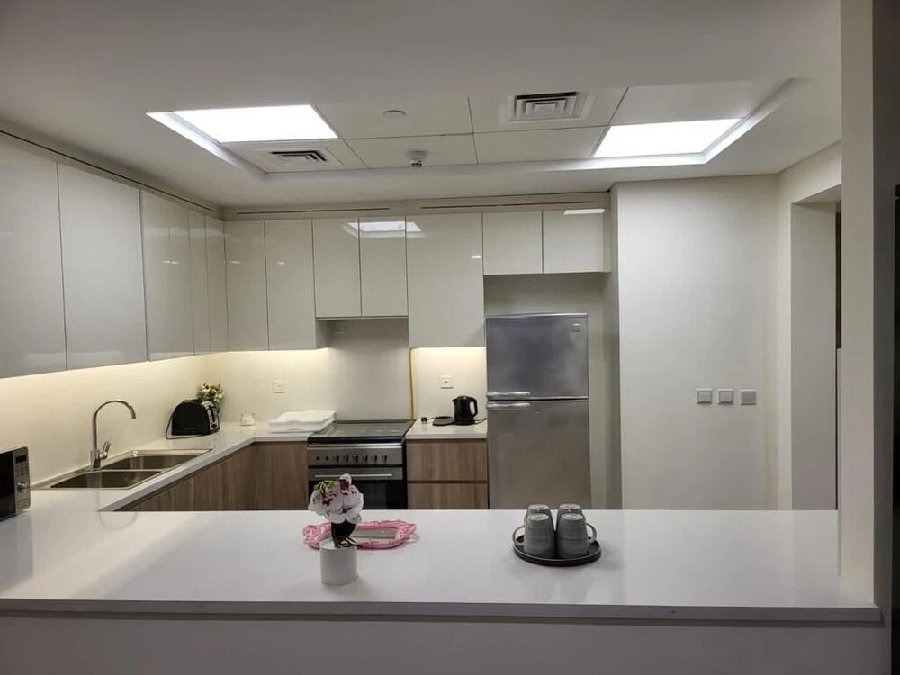 315 Fully furnished 1BHK Apartment