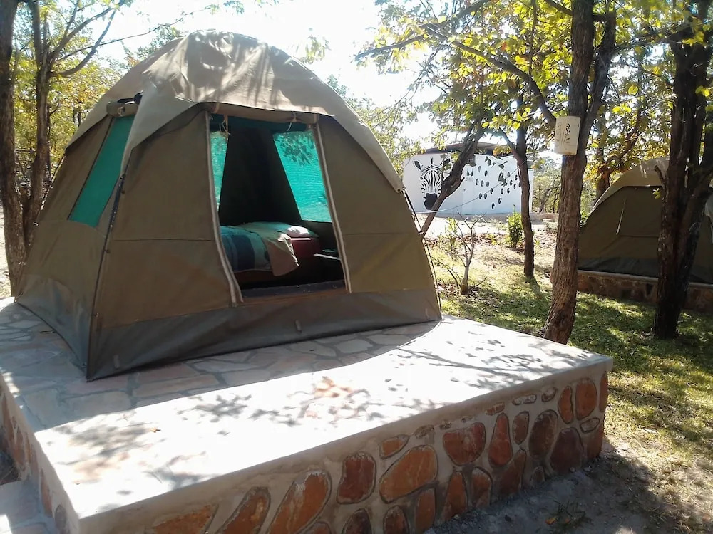 Warthogs Safari Camp