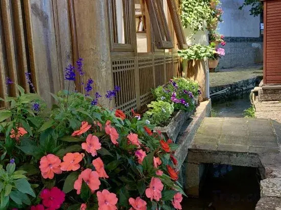 The Meow Blossom Inn (Lijiang Old Town)