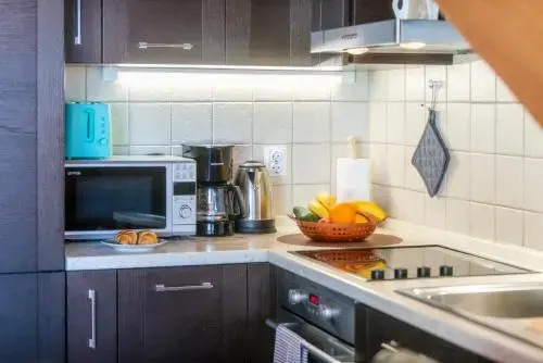 Penthouse Apartment Marija