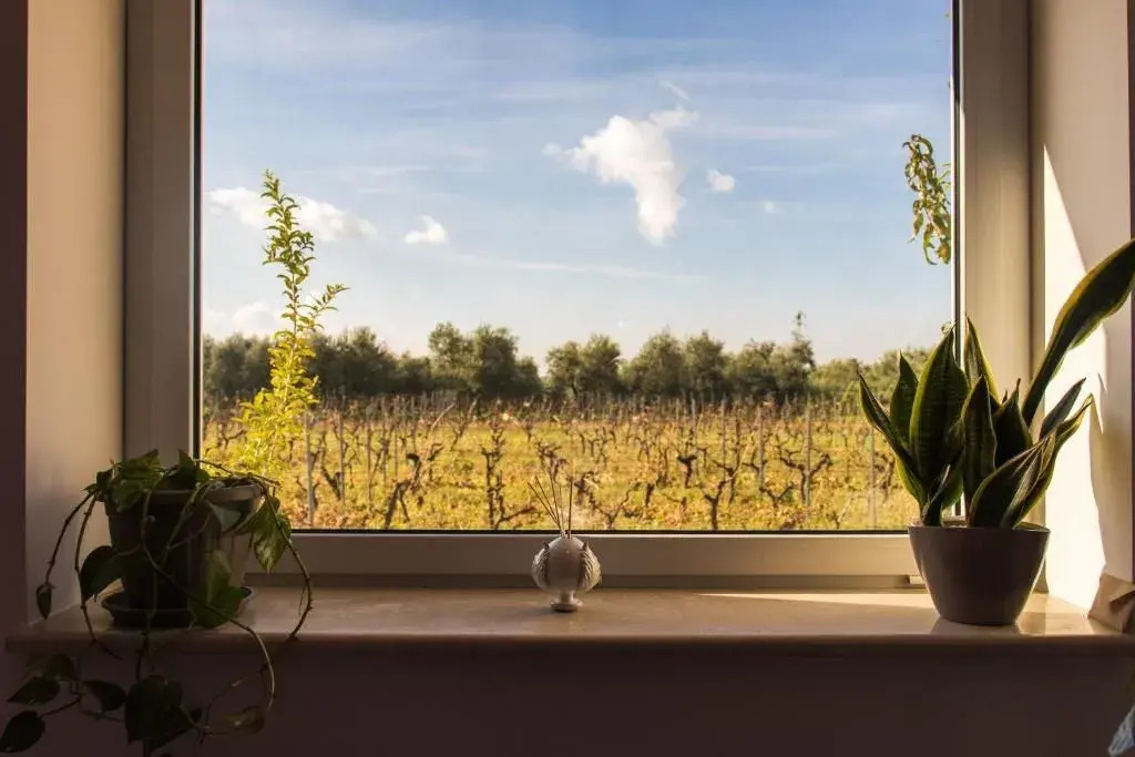 Tenuta Vigna del Noce