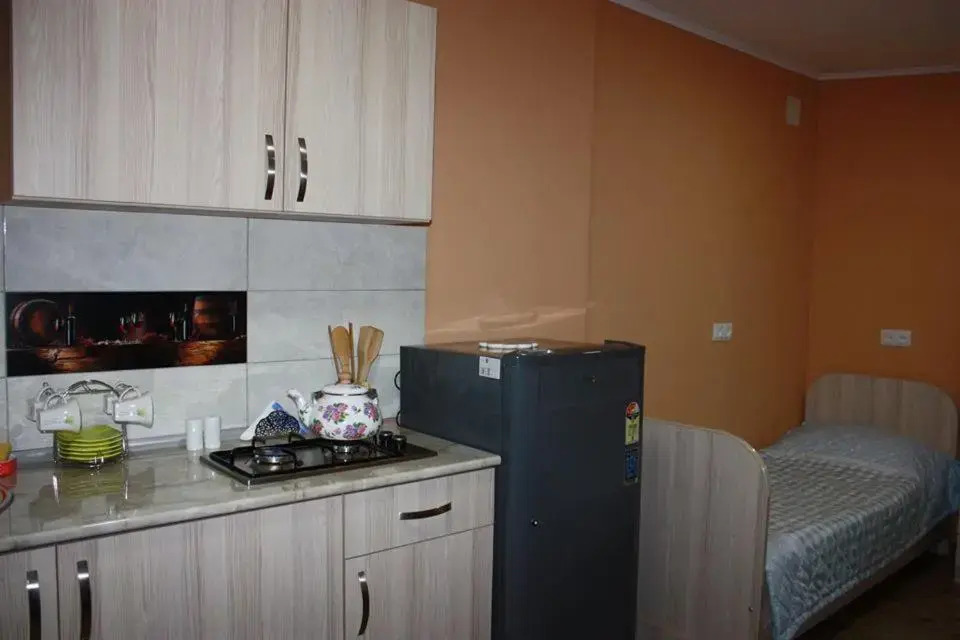 Guesthouse on Benashvili