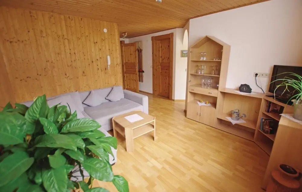 Nice Apartment in St. Gallenkirch With 1 Bedrooms and Internet
