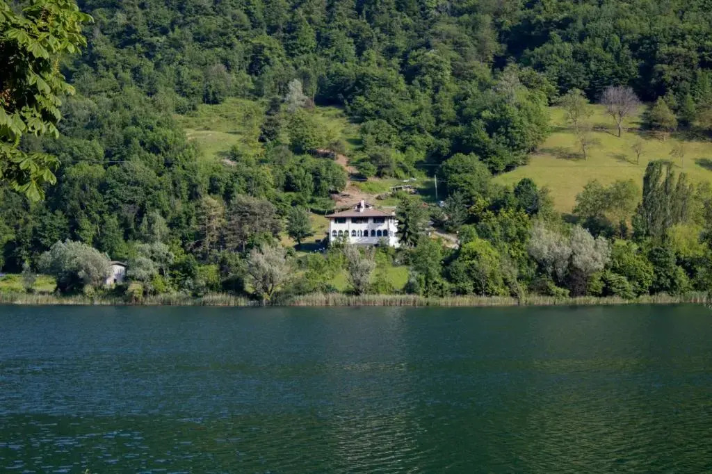 Un nido sul lago