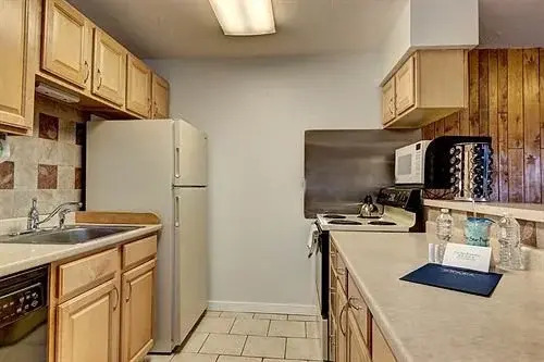 Five Star Properties Silverthorne