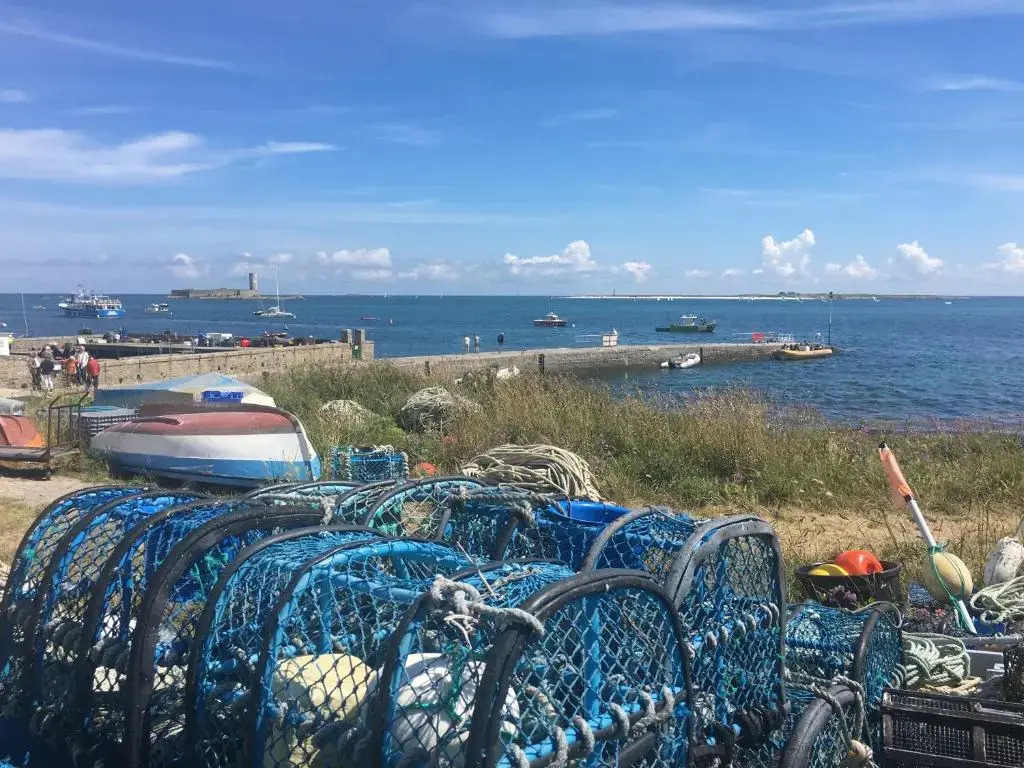 Camping Kost Ar Moor
