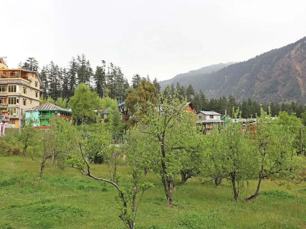 OYO 13872 Home Garden View 2BHK Hadimba Road