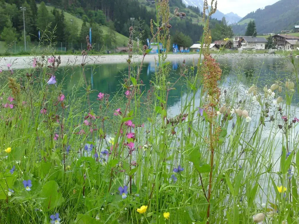 Haus Silvretta
