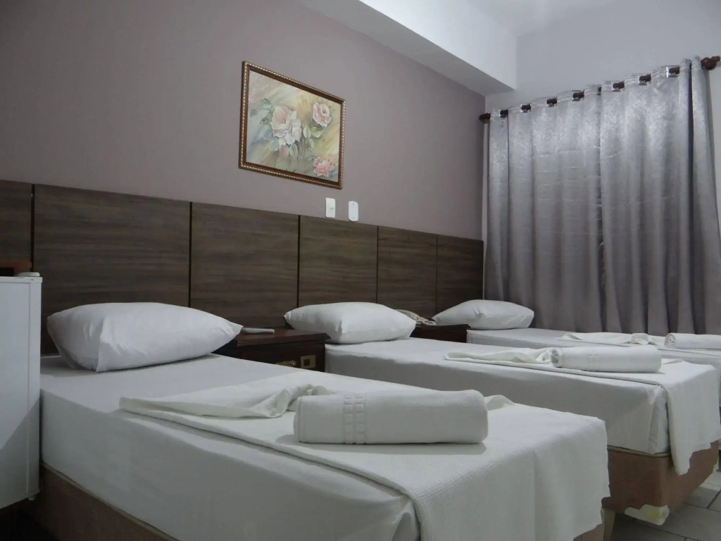 Hotel Faenician