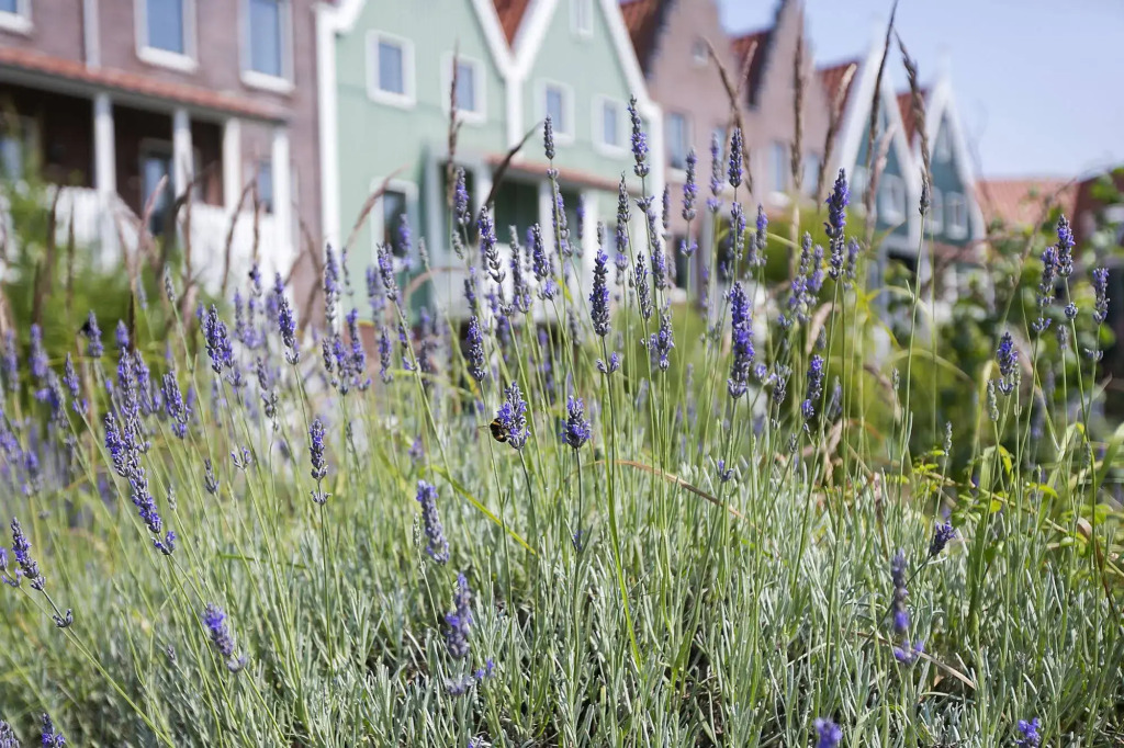 Marinapark Volendam