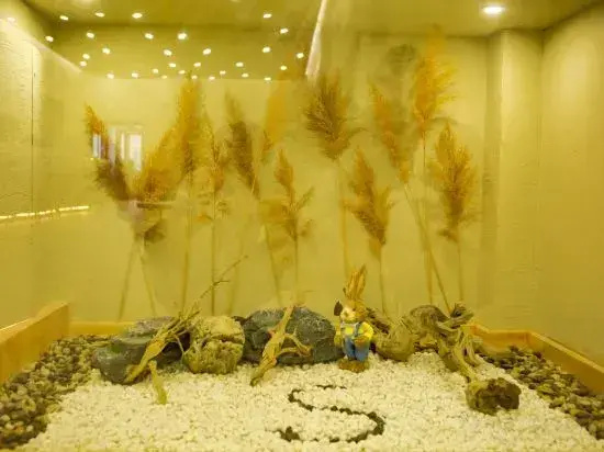 Oasis island · s Hotel (Dunhuang Shazhou night market)