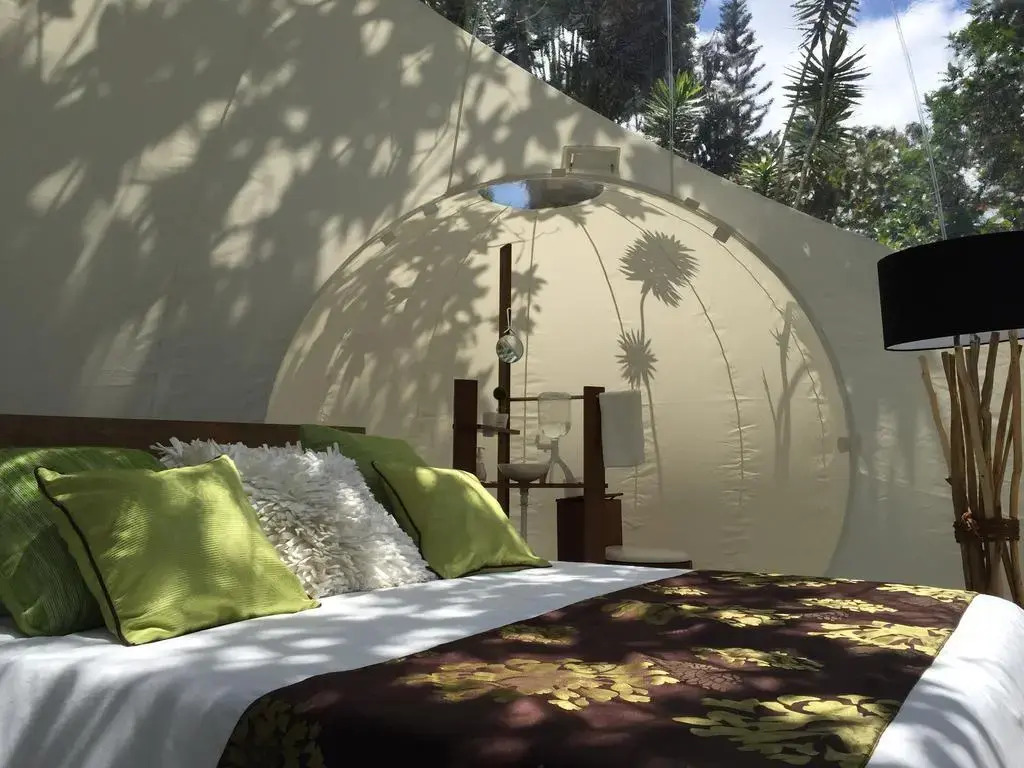 Bubble Lodge Bois Chéri