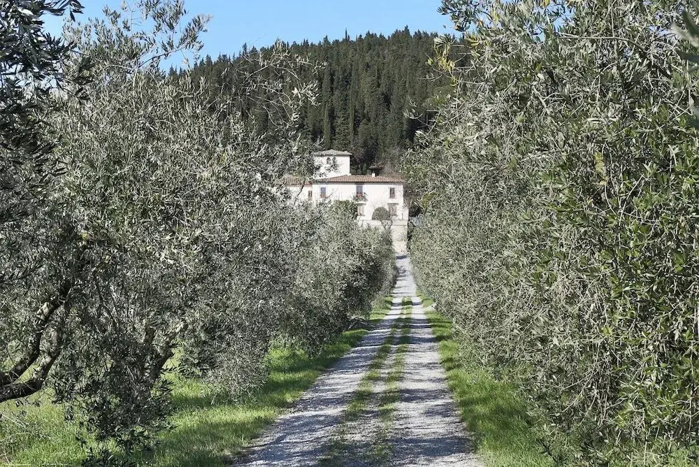 Il Pratello