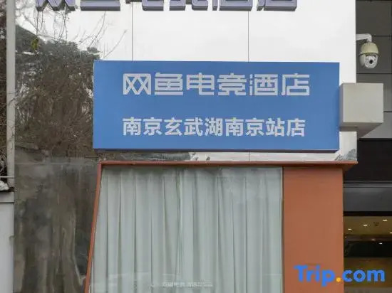 Wenzheng E-sports X Light Luxury Hotel (Xuanwu Lake Park Nanjing Station)