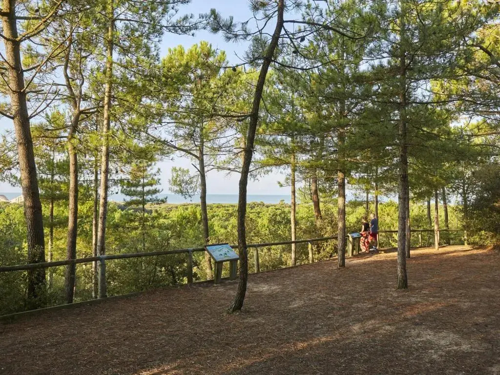 Appartement Saint-Jean-de-Monts, 2 pièces, 5 personnes - FR-1-323-98