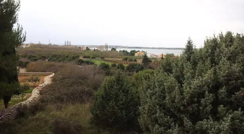 Apartments Marjeta