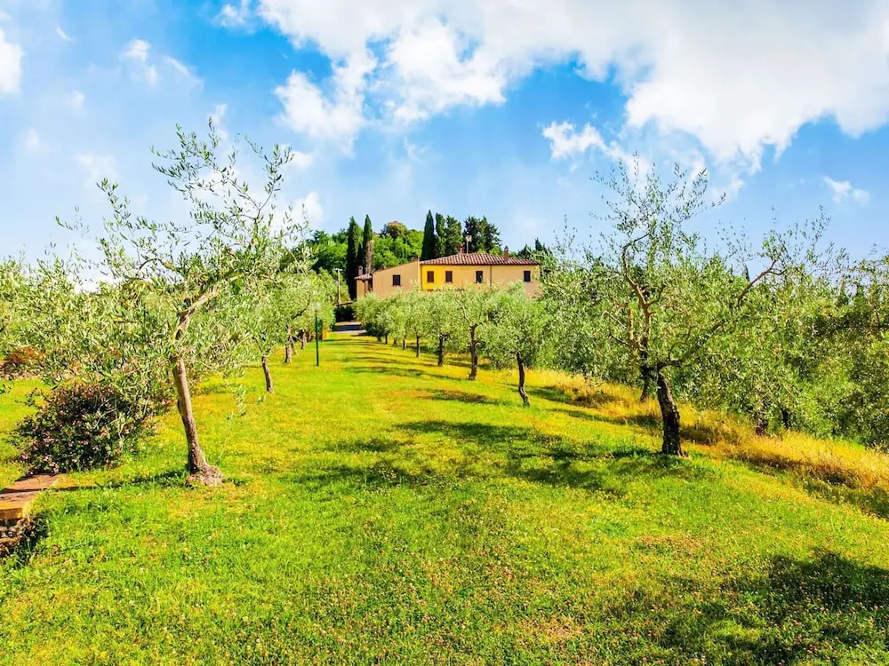 Rustic Farmhouse in Terricciola