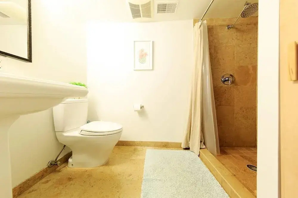 Argyle Basement Elegant 1 BR and Sofabed