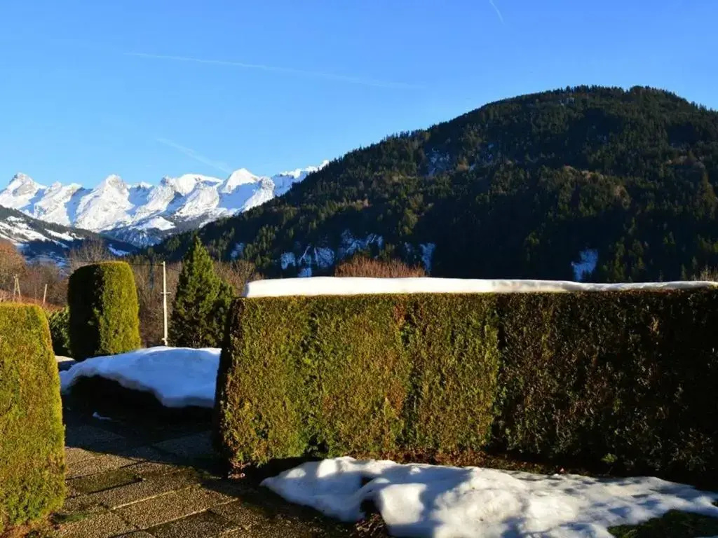 Appartement 3 pièces avec garage, 6 couchages au Grand-Bornand - FR-1-241-100