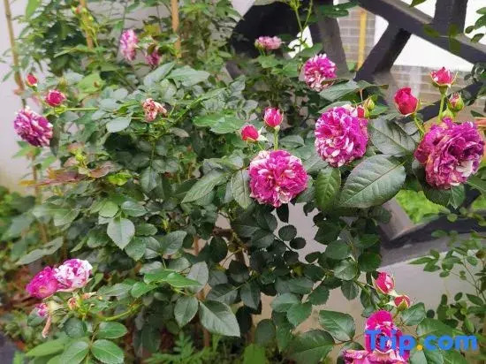 Yongzhou Xiaoxiang Xuyuan Homestay
