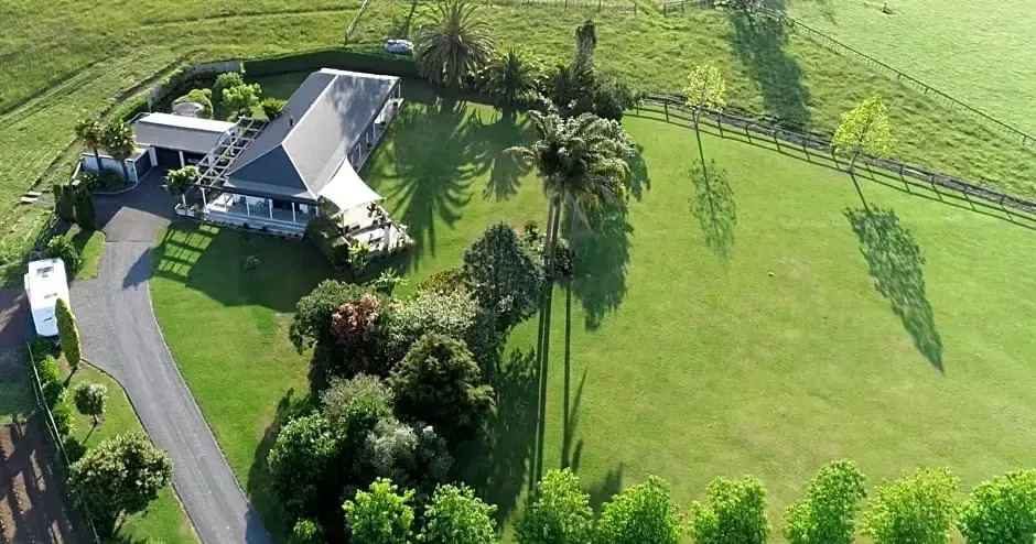 Rural Palms