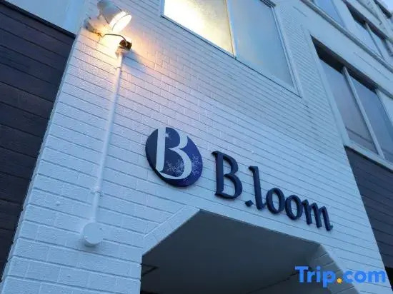 Business Hotel B.loom