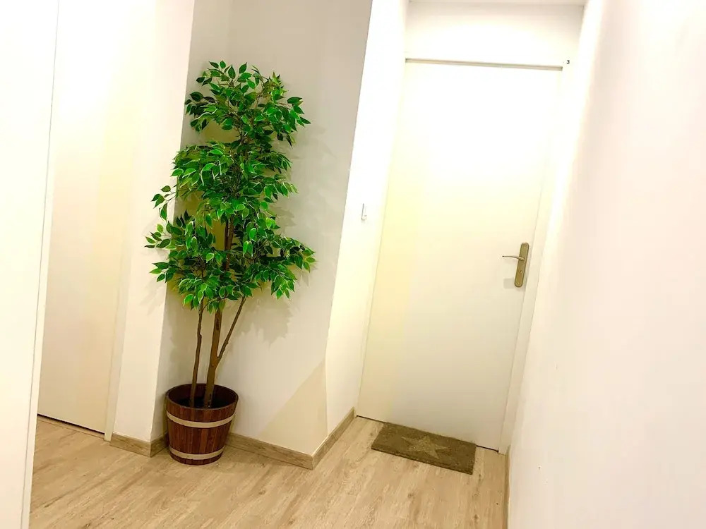 PERLE Studio