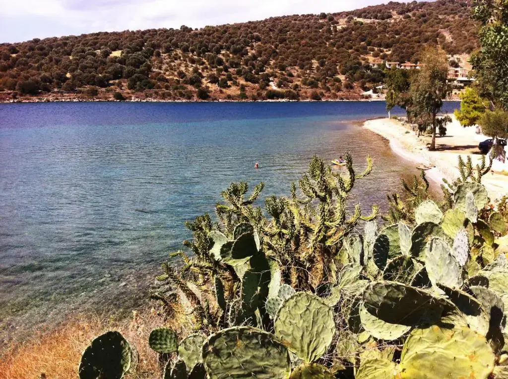 Sea Front Studio - Porto Boufalo - Evia
