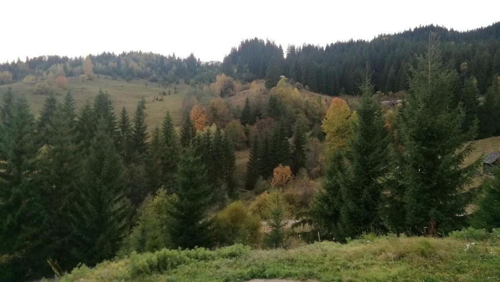 Vyshche za hmary