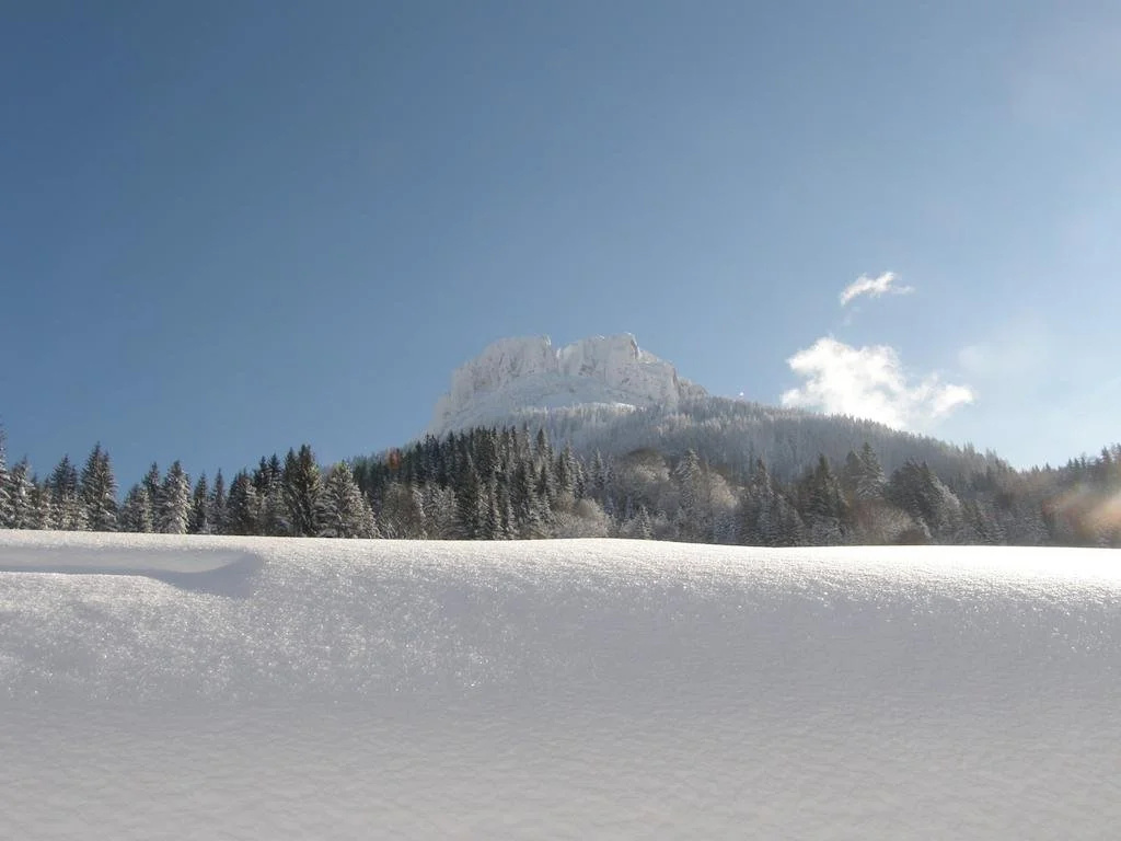 Haus Ramsau
