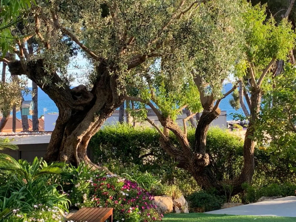 TH132 Villa Mediterranea
