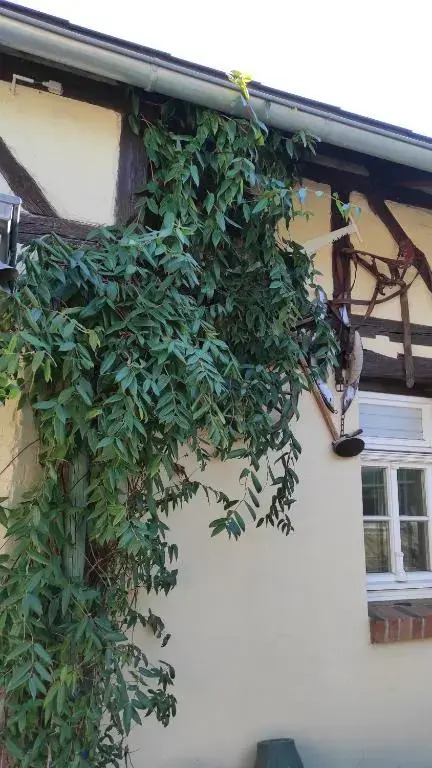 Zum Tischler