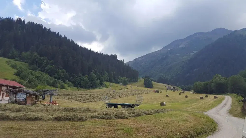 Hello Areches