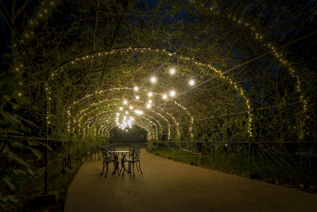 Boeira Garden Hotel Porto Gaia, Curio Collection by Hilton