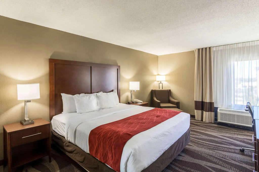 Comfort Inn Pensacola - University Area