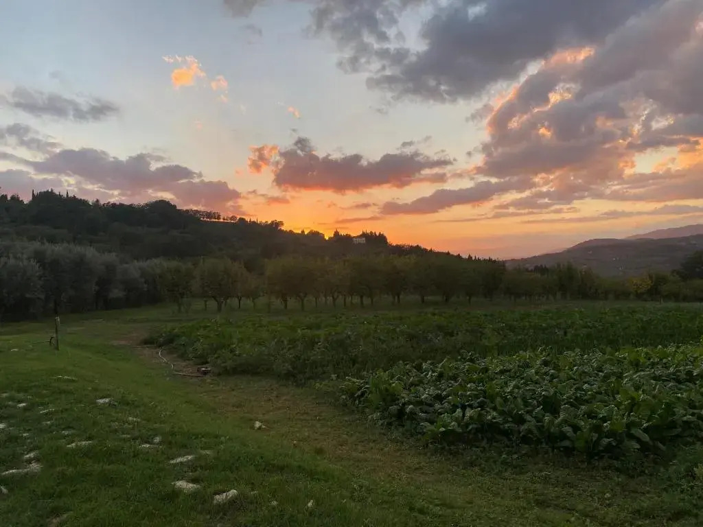 Appartamento Piero