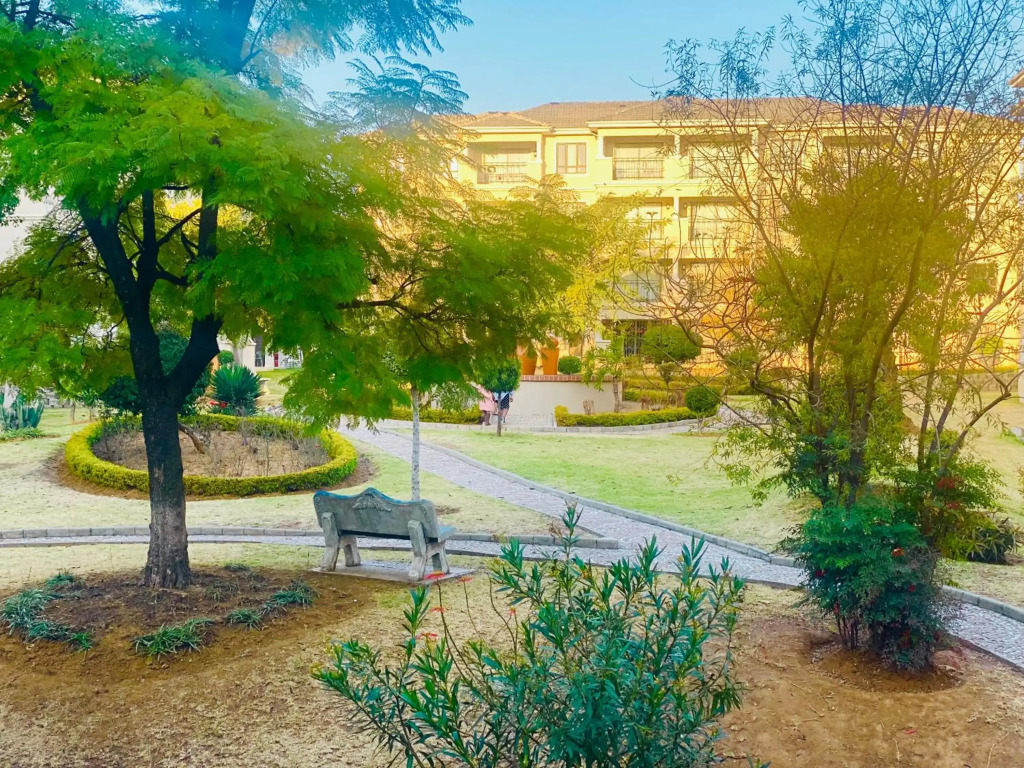 Phoenix Rising Apartment