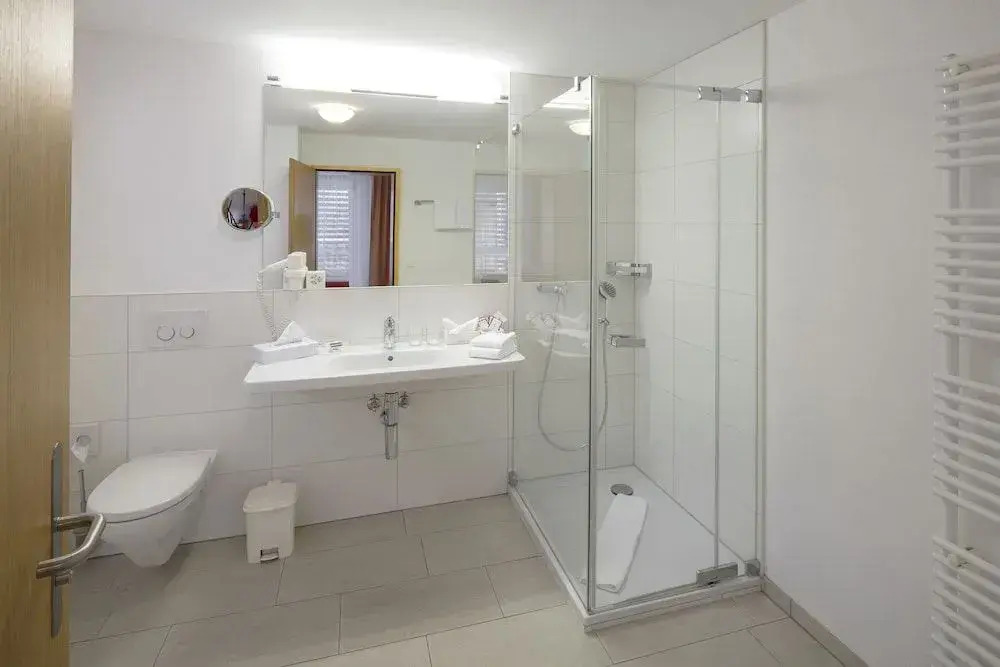 Hotel Alex Business & SPA