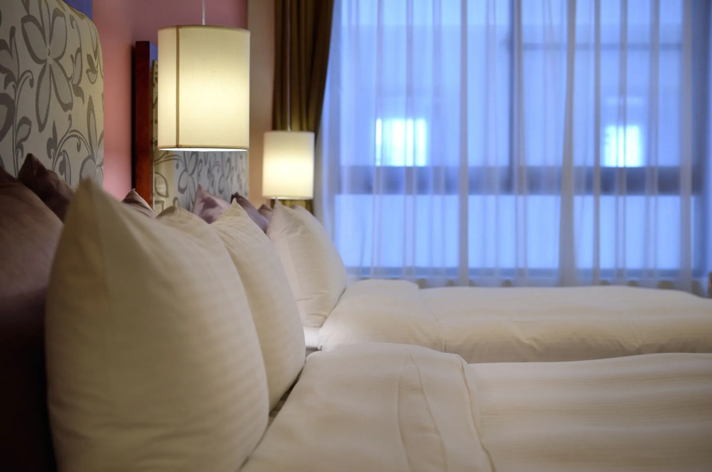 Hotel Modern Puli