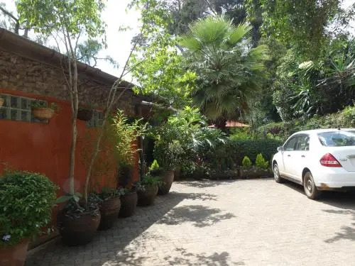 Lake View Studios