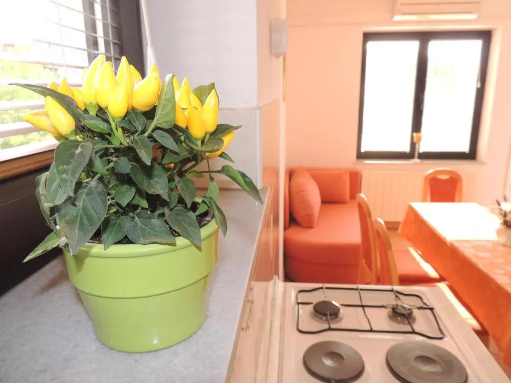 Apartments Jasminka