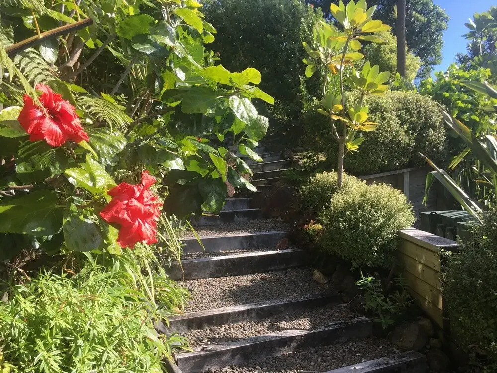 Fantail B&B