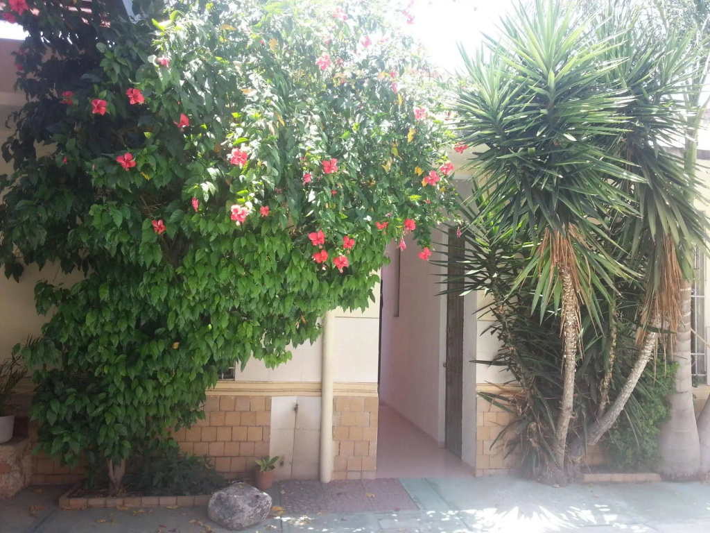 Hostel Casa Nico