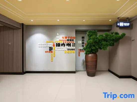 Pudding Yan Xuan Hotel Big Wild Goose Pagoda Small Village History Museum shop